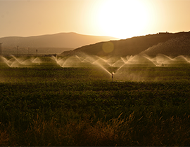 Irrigation & polyplast